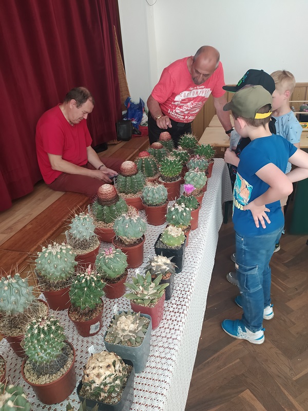 Výstava kaktusů